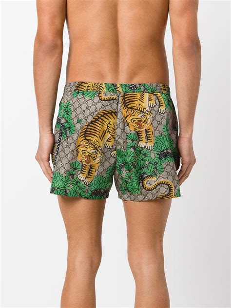 gucci men swim trunk|Gucci bengal swim shorts.